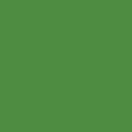 Color_Swatch-Green-09